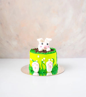 Bunny Cake by NJD - FIVEROSE.AE