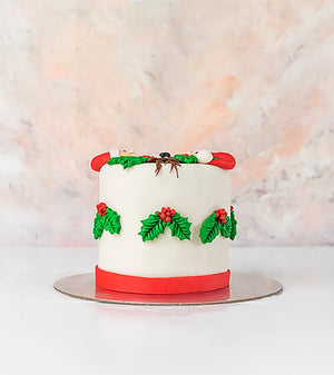 Santa and Reindeer Christmas Cake By NJD